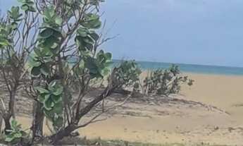 Imagem 3: Terreno à venda, CHAPEU DO SOL, São João da Barra, RJ