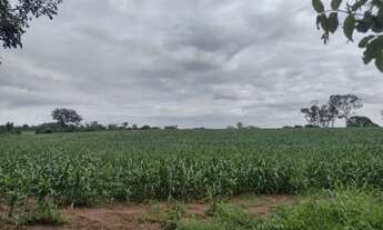 Imagem 3: Venda Commercial / Agricultural Curvelo MG