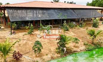 Imagem 3: Chácara 1 alqueire (4,84 hectares) Pontalina - Go