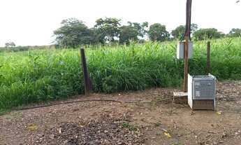 Imagem 6: Fazenda 109 hectares 80 km de Cuiabá/Livramento