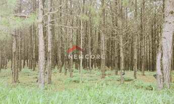 Imagem 4: Fazenda em Rodovia - Área Rural de São Miguel Arcanjo - São Miguel Arcanjo/SP