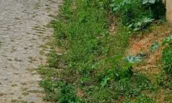 Imagem 5: 2 TERRENO EM CAPELA