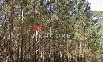 Imagem: Fazenda em Rodovia - Área Rural de São