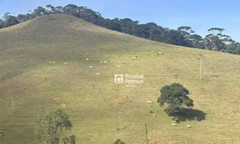 Imagem 5: Fazenda de 290 Hectares com Infraestrutura Completa e Riquezas Natuais