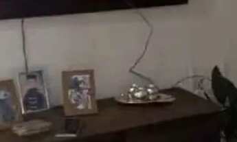 Imagem 6: Apartamento 2 Quartos para assumir prestação