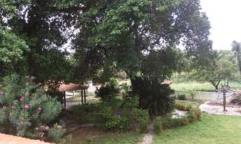 Imagem: Fazenda produtiva, com 187 ha, a 23 Km de