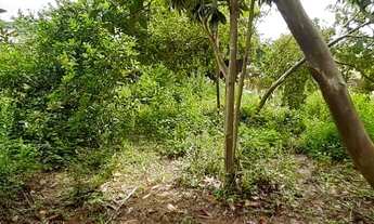 Imagem 5: Lote/Terreno para venda tem 511 metros quadrados em Bom Pastor - Igrejinha - RS