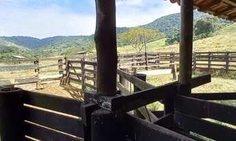 Imagem 5: Fazenda Histórica com 132 Alqueires na região de Botucatu-SP
