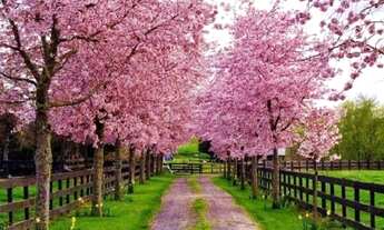 Imagem: JE- Aceitamos veiculos mediantes análise