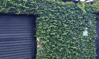 Imagem 3: Vendo ou Alugo Casa na Praia Grande em Arraial