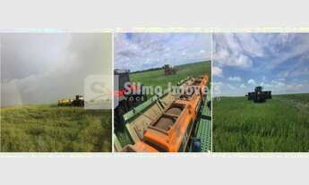 Imagem 7: Venda Fazenda AREA RURAL DE TOCANTINS