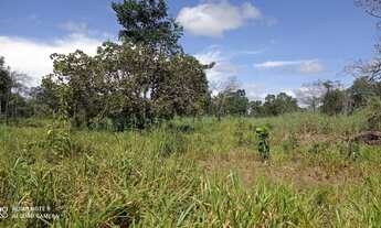 Imagem: Fazenda de 30 Alqueires - Colinas do Sul