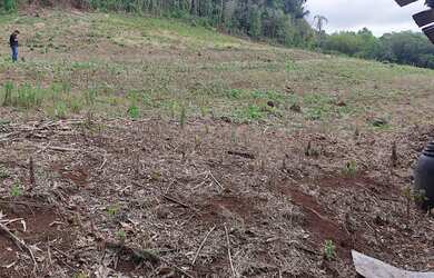 Imagem 5: Sítio 10 hcts, com escritura, no Morro Grande, Rolante