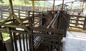 Imagem 4: Fazenda Histórica com 132 Alqueires na região de Botucatu-SP