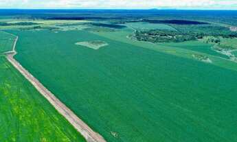 Imagem 3: Fazenda - Peixe (TO