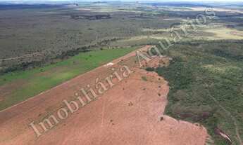 Imagem 10: Fazenda para venda possui 13560000 metros quadrados