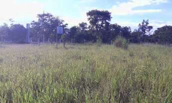 Imagem 4: Área 9.800,00m². Frente Terminal da Petrobras, Frente p/ Rua do Prata. Acesso BR-497