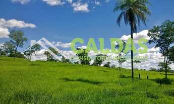 Imagem 7: Fazenda a venda com 36 alqueires e pecuária rotacionada na região de Formosa - GO