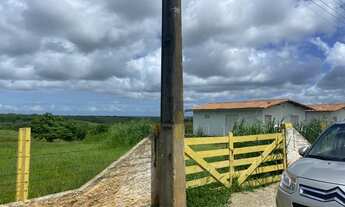 Imagem 6: Fazenda com 20,0 hectares, em Comum, distrito de Monte Alegre/RN