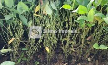 Imagem 4: Venda Fazenda AREA RURAL DE TOCANTINS