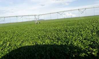 Imagem: Fazenda - Peixe (TO