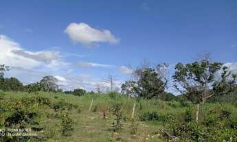 Imagem 2: Fazenda de 30 Alqueires - Colinas do Sul