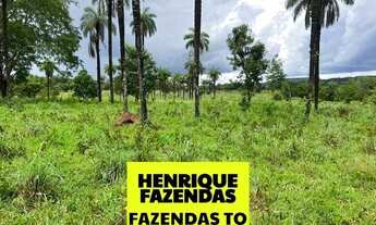 Imagem 6: Fazenda no Luzimangues poucos minutos de Palmas 51 alqueires