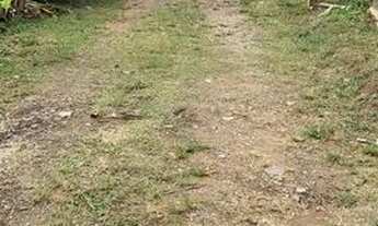 Imagem 6: Vendo lote em Vianópolis Betim