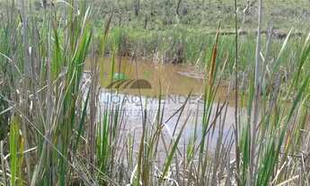 Imagem 2: Sitio 8,5 Alqueires à venda no bairro Campo Largo, em Jarinu/SP