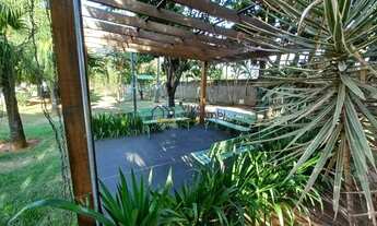 Imagem: Palm Tree Indaiatuba