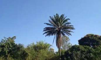 Imagem 6: Sitio em Nova Iguaçu