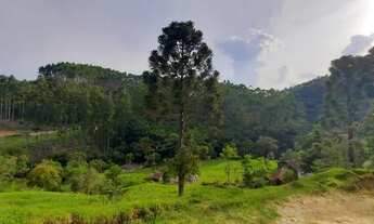 Imagem 5: 2 hectares Chácara com venda por R$100.000