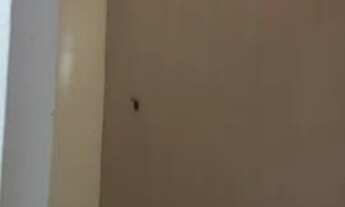 Imagem 4: Apartamento 2 quartos á venda em Simões Filho Cia 2