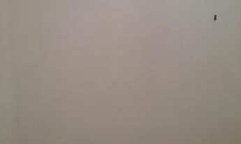 Imagem 7: Apartamento 2 dormitórios - Santana - São Paulo/SP