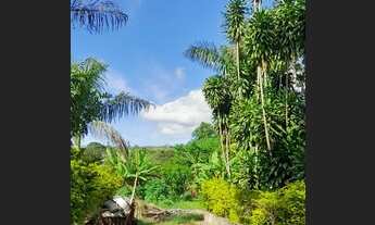 Imagem 2: Chácara com Escritura no Novo Gama