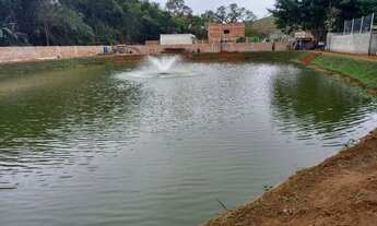 Imagem 2: Vendo terreno no km2