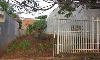 Imagem 5: Terreno jardim olímpico