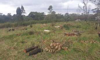 Imagem 4: SAO ROQUE - Terreno / lote / condominio - CAETE (MAILASQUI