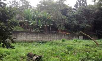 Imagem 7: TERRENO NO JARDIM MORUMBI - ARBORIZADO PARA UMA OU DUAS CASAS