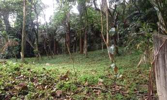 Imagem 3: TERRENO NO JARDIM MORUMBI - ARBORIZADO PARA UMA OU DUAS CASAS