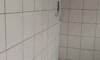 Imagem 4: Alugo ap 2 quantos em Belford, bairro das graças, sem PG condomínio