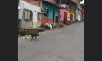Imagem: Terreno com casa em construção