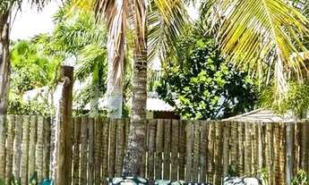 Imagem 4: REVEILLON - OUTEIRO DAS BRISAS