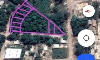 Imagem 6: TERRENOS 10X30 ALTER DO CHÃO