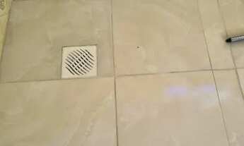 Imagem 4: Bom apartamento Apartamento com 2 dormitórios