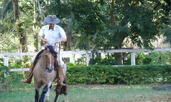 Imagem 6: Vendo chácara 5 ha em Osório