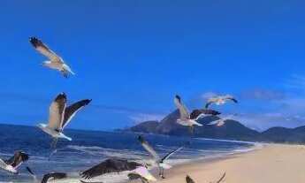 Imagem 6: Terreno em Itaipuaçu, Jd. Atlântico Leste, próx. Av.2, Parcela!