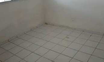 Imagem 4: Cajueiro térreo