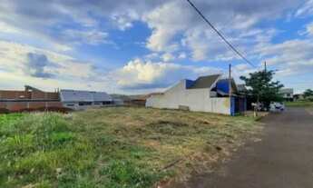 Imagem: Lote à venda MARIALVA CENTRO