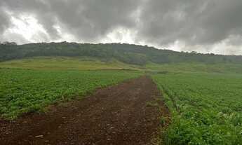 Imagem 4: Vende fazenda 271 alqueiro a 1.500 saca de soja